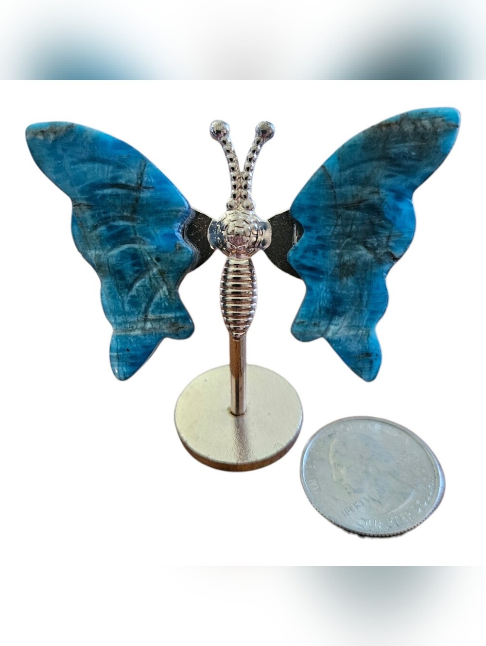 Blue Apetite Butterfly Wings on Silver Stand